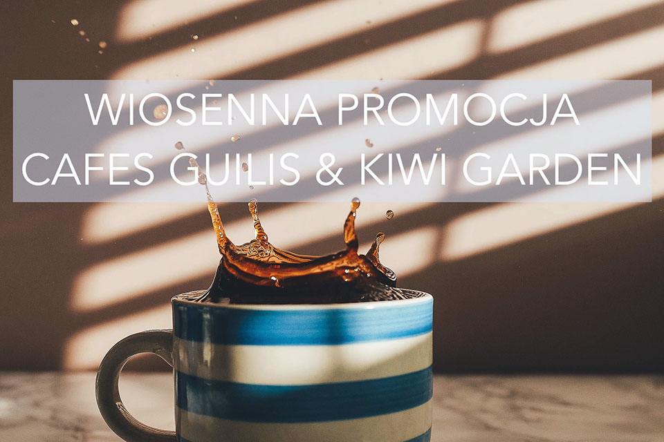 wiosenna promocja z cafes guilis i kiwi garden